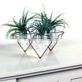 Trendy Modern Geometric Hexagon Stained Glass Terrarium thumbnail-2