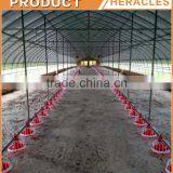 Automatic Poultry Layer Farming Equipment And Poultry Farm Raw Materials thumbnail-5
