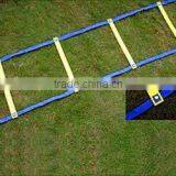 Fixed Agility Ladder thumbnail-1