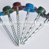 Electric Galvanized Roofing Nails thumbnail-5