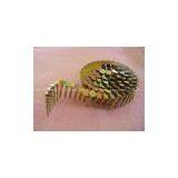 Common Coiled Nails thumbnail-1