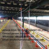 Cameroon Poultry Farming Equipment Broiler Plastic Salt Floor System & Floor Raising System With Nipple Drinker System & Feeding Pan System in Chicken Coop