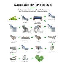 Industrial Frozen Green Peas Processing Plant thumbnail-4