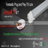 Double End Input Compatible 2ft 3ft 4ft T8 Led Tube UL DLC                        
                                                Quality Choice