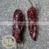 New Crops, Dry Sweet Paprika thumbnail-1