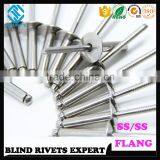 HOT SELLING LARGE FLANGE SS/SS BLIND RIVETS WITH COMPETETIVE PRICE thumbnail-4