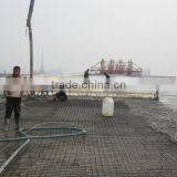 DINGCHENG DCZP-600 Concrete Screed With Honda Engine in Stock thumbnail-4