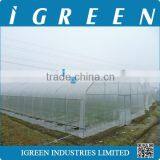 Used commercial greenhouse