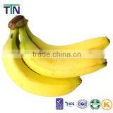 TTN Export Organic Market Prices Dried Fruit Powder Flour Banana thumbnail-2