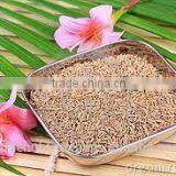 Cumin Seed Gujarat thumbnail-4