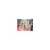 Tapioca Residue / Tapioca Residue Powder / Tapioca Residue Pellet thumbnail-2