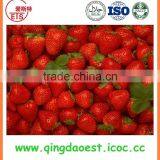 15-25mm For Sale Bulk Fresh Strawberry thumbnail-4