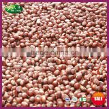 2015 New Crop Organic Yanshan Hebei Origin Fresh Chestnuts