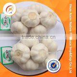 Fresh Garlic 5.0cm 20kg Mesh Bag thumbnail-6