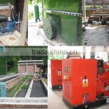 ISO,CE,BV approved\biogas power plant\turnkey,BOT biogas generation project\biomass power plant