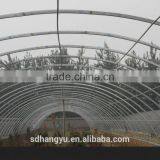 Economical Commercial Polycarbonate Sheet Greenhouse thumbnail-3
