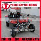 Renli 250cc EEC Cheap Kids go Karts for Sale thumbnail-1