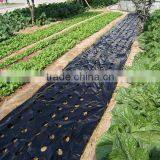 PE Agricultural Mulching Film With Holes thumbnail-1