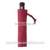 Automatic Umbrella With Ergonomic EVA Handle,case Included thumbnail-5