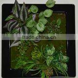 SJ400930 ARTIFICIAL CACTUS ARRANGEMENT thumbnail-3