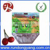 Stand Up Pouch Fruit Packaging Bag With Handle thumbnail-6