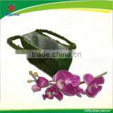 Moss Jute Plantting Bag