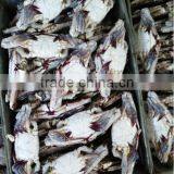Blue Swimming Crab Good Product thumbnail-1