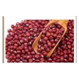 Red Adzuki Bean thumbnail-1