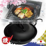 Various types of iron fry pan set , portable mini series available