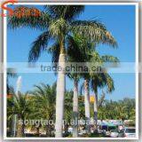 Led Palm Tree Light Led Outdoor Solar Tree Lights Coconut Palm Tree thumbnail-2