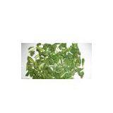 Freeze Dried Spinach thumbnail-1