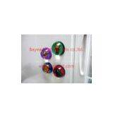 Wholesale Real Insect Resin Refrigerator Magnets, So Cool