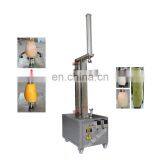 Adjustable Pumpkin Fruit Peeling Machine Jack Fruit Dragon Fruit Peeling Machine thumbnail-2