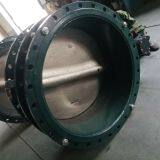 Worm Gear Soft Seated Concentric Butterfly Valve thumbnail-5