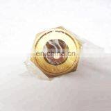 Hot Sale and Golden Quality Diesel Engine Parts Stainless Steel LK50 3028324 Check Valve for Truck