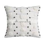 Wholesale Designer Custom Throw Cushion Cover Decorative Tufted Sofa Cushion Cover thumbnail-4