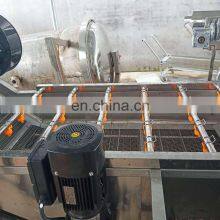 Fruit and Vegetable Washing and Drying Machine /automatic Vegetable Washing Machine /vegetable Bubble Washing Machine thumbnail-3
