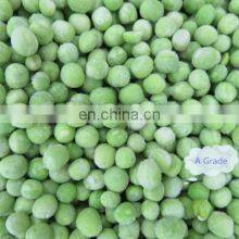 Sinocharm BRC-A Approved IQF Frozen Green Peas thumbnail-4