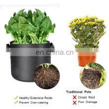 Amazon Hot Sold 3 5 100 Gallon Plant Felt Bag Non Woven Planter Pot Non-Woven Fabric Plants Eco Friendly Garden Grow Bags thumbnail-3