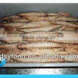 Cooked Macherel Fish thumbnail-4