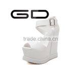 GDSHOE Hot Fashion Platform Wedges Buckle Strap Heel Sandals for Women