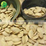Top Quality Shine Skin Pumpkin Seeds, Organic Pumpkin Seeds From China thumbnail-2