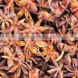 Qingdao Dong Xiang Run International Trading Co., Ltd. company overview - view 3 thumbnail