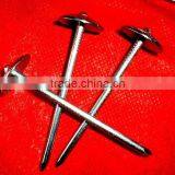 Botswana Market Galvanized Roofing Nail thumbnail-1