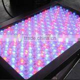 Led Flood Strobe Light