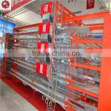 Competitive Cheap Price Automatic Folding Chicken Cage for Sale
