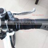 En15194 Certificate Folding Electric Bike thumbnail-3