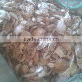 Dried Crab Shell For Animal Feed Or Chitin Chitosan