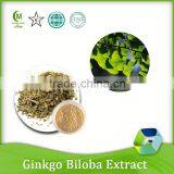 Plant Extract Ginkgo Biloba Extract Powder
