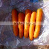 2015 New Fresh Carrot for Dubai thumbnail-1